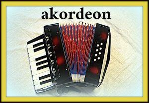 akordeon.jpg ()