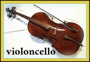 violoncello.jpg ()