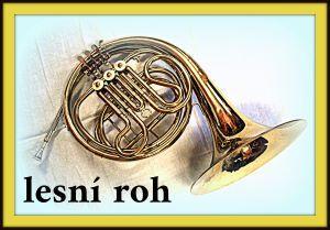 lesni-roh.jpg ()